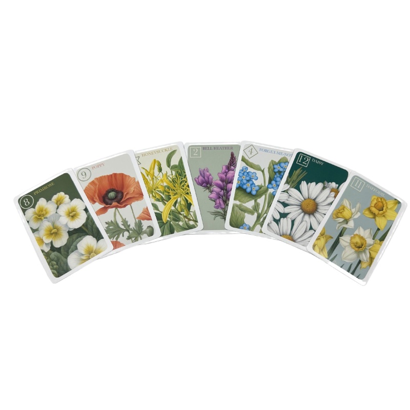 Wild Flower Sevens Card Game By House Of Marbles - Age 3 Plus